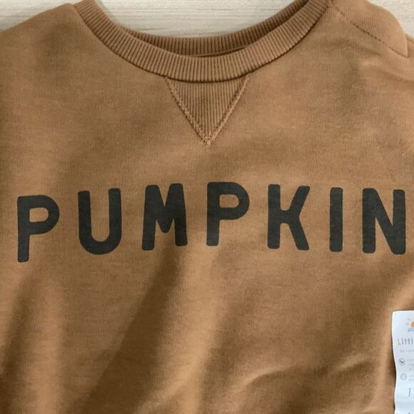 NWT!! Pumpkin Lightweight Sweatshirt Orange/Brown 12Month Old - Picture 2 of 6